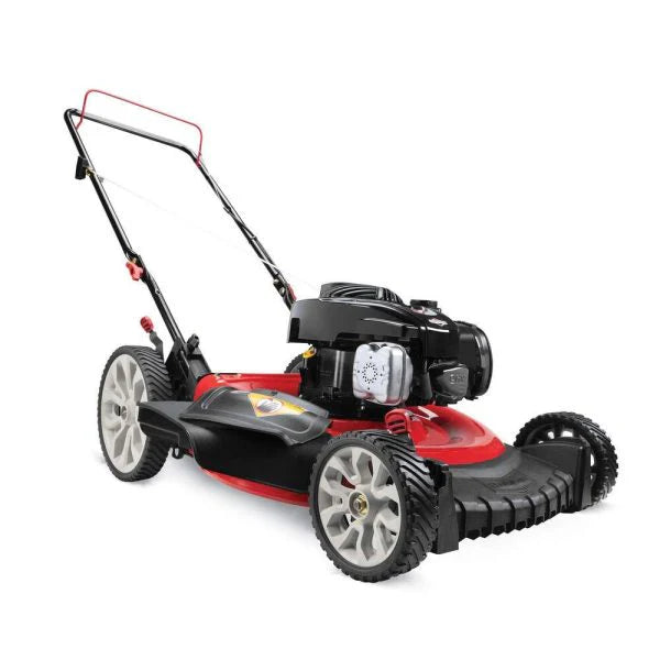 Tondeuse à gazon à gazon autoportée avec moteur Briggs & Stratton