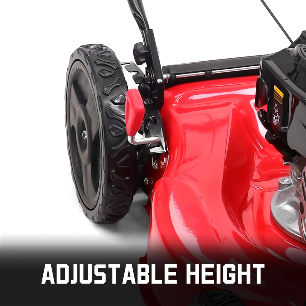 Tondeuse à gazon à gazon à essence PowerSmart de 53 cm (21 po) avec moteur Briggs & Stratton E300 de 125 cm³, tondeuse poussée 2 en 1 avec broyage et éjection latérale.