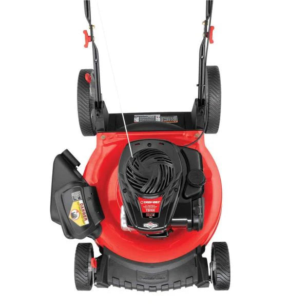 Tondeuse à gazon à gazon autoportée avec moteur Briggs & Stratton