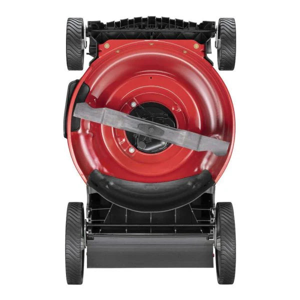 Tondeuse à gazon à gazon autoportée avec moteur Briggs & Stratton